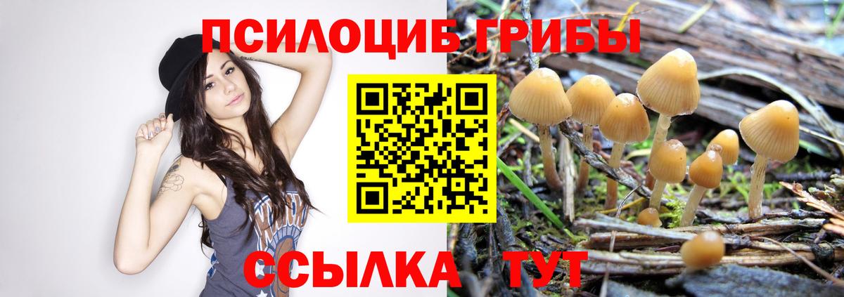 Псилоцибиновые грибы мицелий Мелеуз